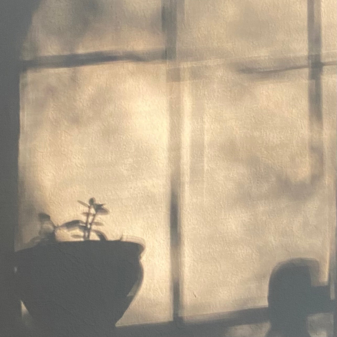 Sundance wall shadows in my 1974 Leather Studio